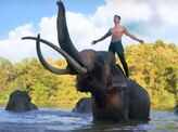 Junglee