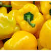 yellow bell pepper