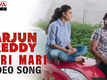Arjun Reddy | Song - Mari Mari