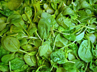 What are the benefits of eating spinach?