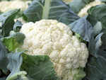 Cauliflower