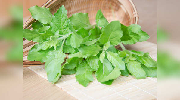 Holy basil