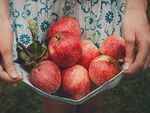 Eat those scrumptious apples and your health will benefit a lot