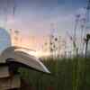 ​Do not opt for a university without a defined curriculum