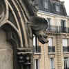 Article image for: New pictures of <i class="tbold">notre dame cathedral</i>