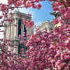 Article image for: Pictures of Notre-Dame Cathedral treasures