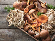 Here's how mushrooms can help you fight signs of aging