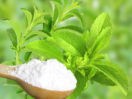 Is stevia a safe alternative to sugar?