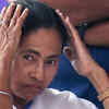 Article image for: Lok Sabha election: EC removes Malda top cop appointed by West Bengal CM Mamata Banerjee