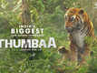 Thumbaa - Official Trailer