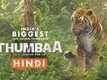 Thumbaa - Official Hindi Trailer