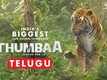 Thumbaa - Official Telugu Trailer 