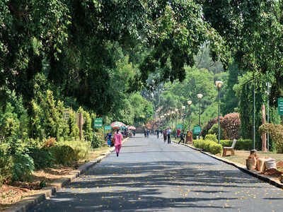 Bengaluru: After 40 years, a smooth walk in Lalbagh