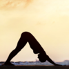 Article image for: The original <i class="tbold">surya namaskar</i>