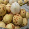 Langsah/Lotka (Langsat)