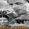 Article image for: <i class="tbold">bhuvan shome</i>