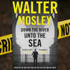 BEST NOVEL