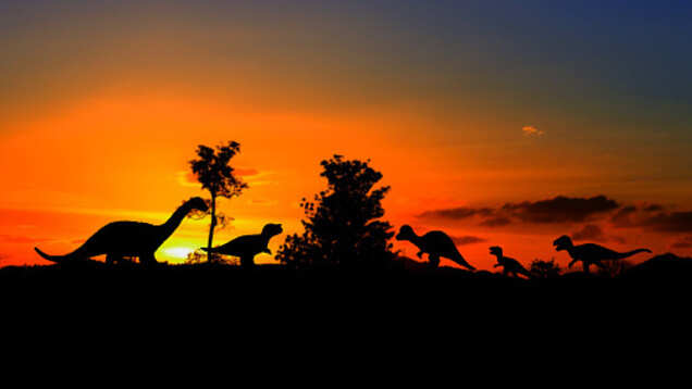You can now sign up for a Dinosaur Safari!