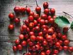 Health benefits of Hawthorn berries