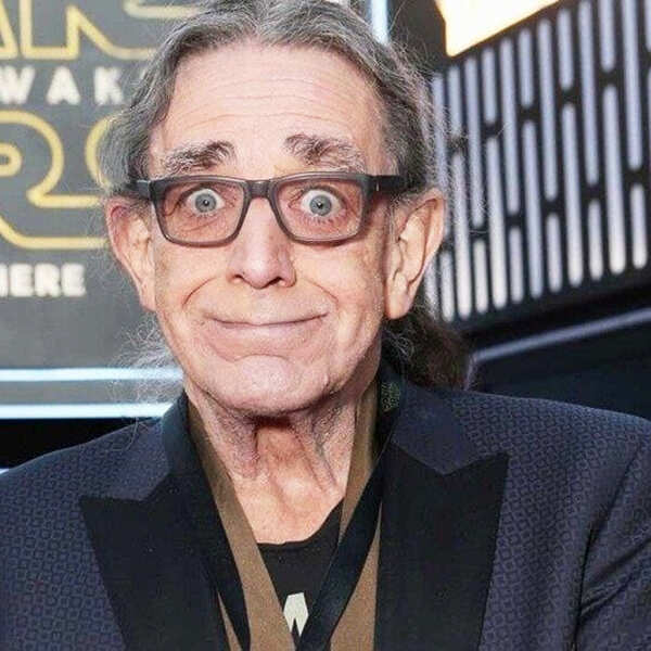 Peter Mayhew Stills