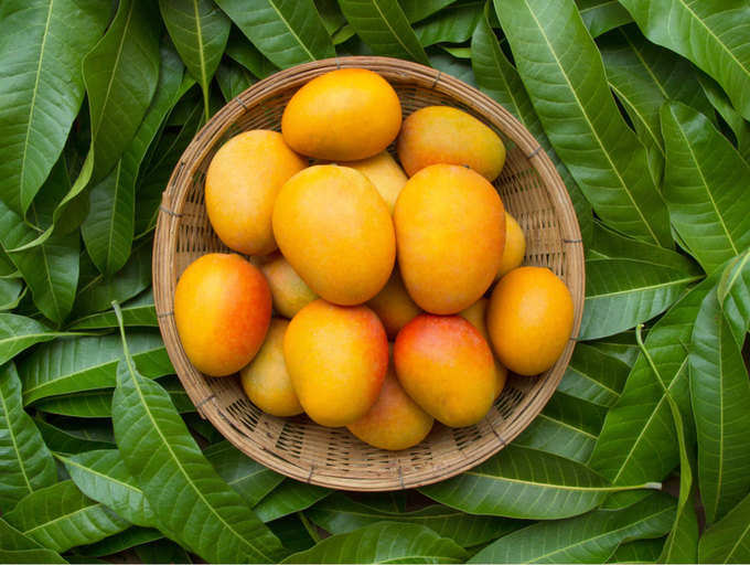 Types of Mangoes in India: 15 famous mango varieties in India and how to  identify them