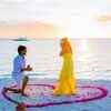 THE Proposal