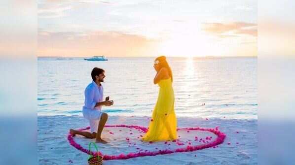 THE Proposal