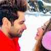 ​Lovebirds