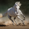 ​If most of your answers are D: Horse