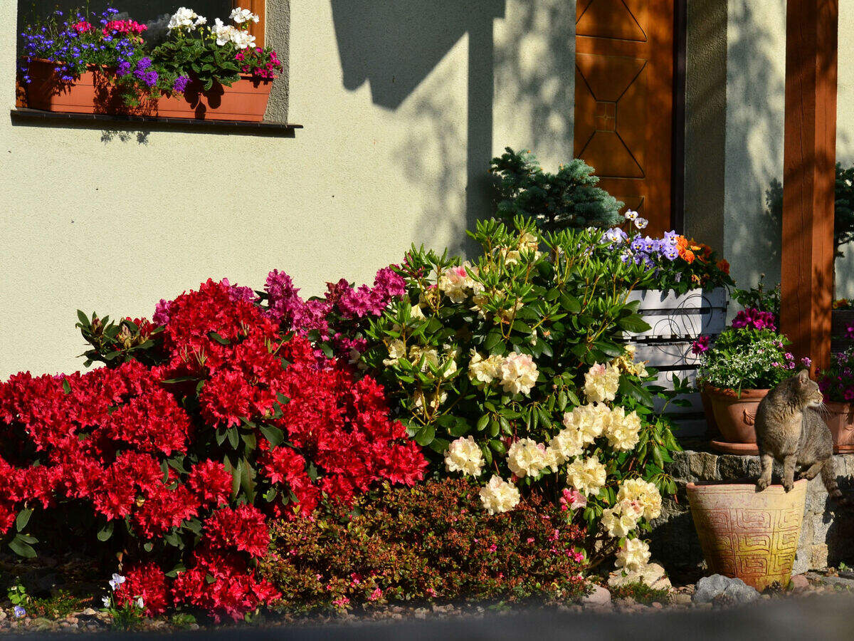 Sikkim International Flower Festival Welcomes You To Gangtok This May Times Of India Travel Sikkim International Flower Festival Welcomes You To Gangtok This May Times Of India Travel