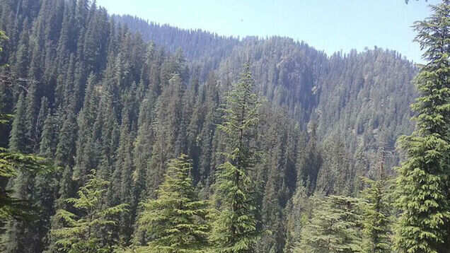 An easy guide to visiting the Great Himalayan National Park