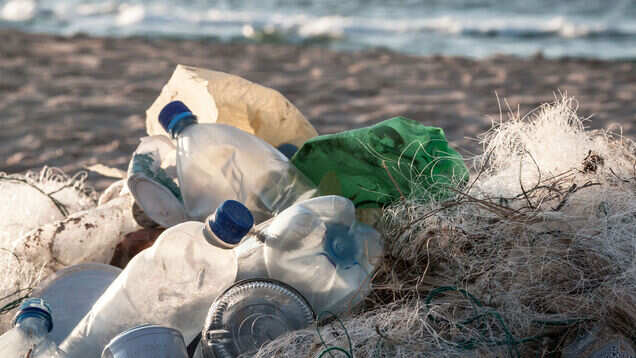 Dadar beach is once again clean and visitable