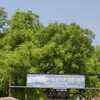 One of the 154 critical polling centers of Allahabad West at Newa locality