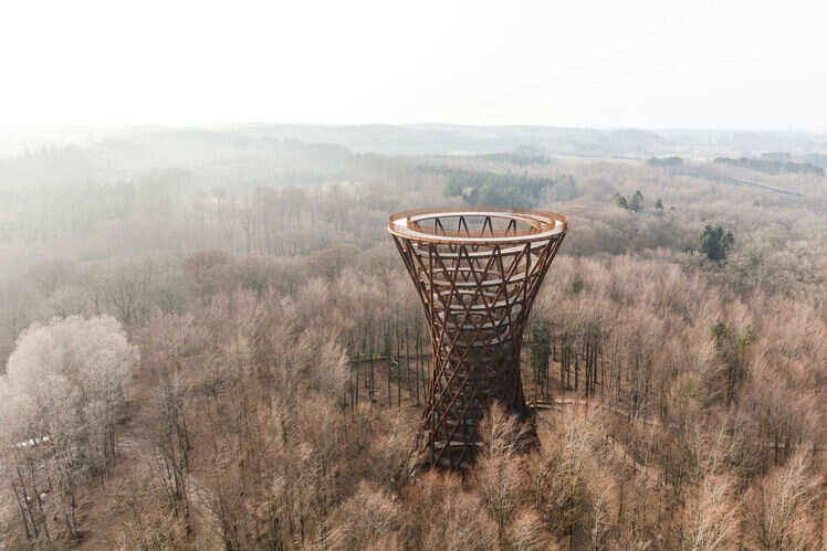 Camp Adventure Park - walk among the treetops in Denmark Camp Adventure Park - walk among the treetops in Denmark