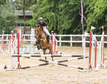 Tollygunge Club organises a children&rsquo;s riding gymkhana