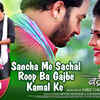 Article image for: Badrinath | Song - Sancha Me Sachal Roop Ba Gajbe Kamal Ke