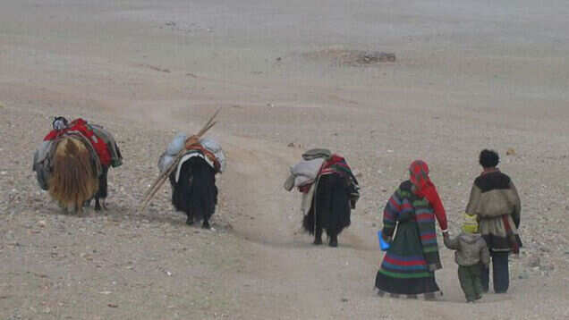The story of the Changpas of Ladakh