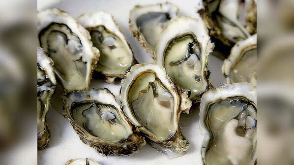 Oysters