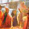 Dehradun: BJP supporters celebrate the Lok Sabha election victory with colours