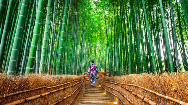 6 reasons why you must visit Japan