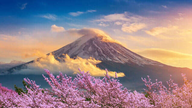6 reasons why you must visit Japan