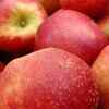 Article image for: Are they harmful?