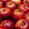 Article image for: Why do they appear?