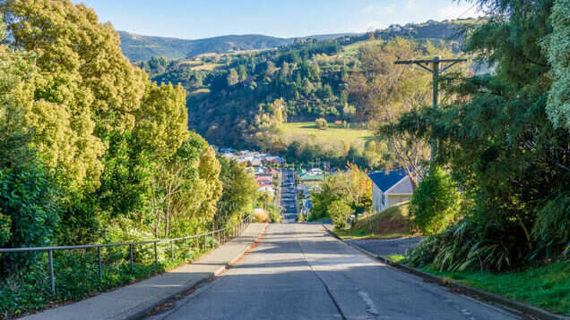 Life at Baldwin Street, the steepest street in the world!