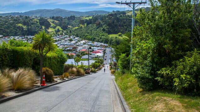 Life at Baldwin Street, the steepest street in the world!