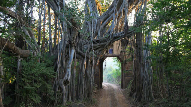 Top destinations in India that are perfect for kids