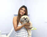 Celebs attend the inauguration of a pet care unit