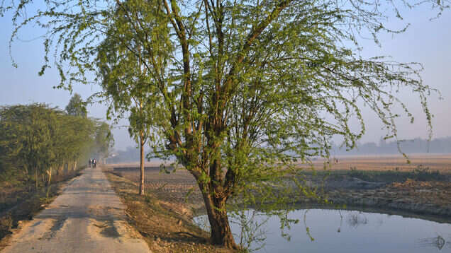 Taki&mdash;a pastoral delight near Kolkata