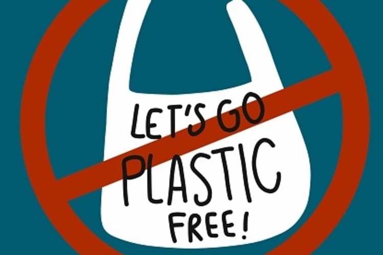 Dzukou Valley is turning into a ‘plastic free zone’ on World ...