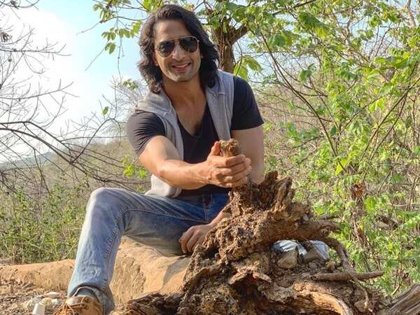 Shaheer Sheikh Stills